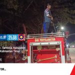 Penanganan Kejadian Tawon dan Ular Cincin di Samboja dan Muara Badak : Tindakan Cepat Tim Pemadam Kebakaran dan Penyelamatan