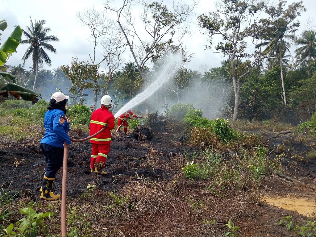 Kebakaran Lahan 500 m² di Muara Jawa Berhasil Dipadamkan