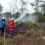 Kebakaran Lahan 500 m² di Muara Jawa Berhasil Dipadamkan