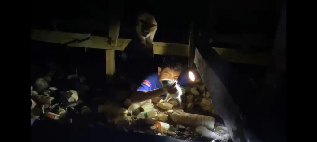 Damkar Sanga-Sanga Selamatkan Kucing yang Terjebak di Kolong Rumah Warga