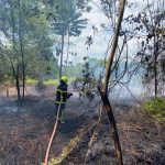 Kebakaran Lahan di Teluk Dalam Berhasil Dipadamkan Petugas Damkarmatan Kukar
