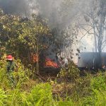 Kebakaran Hutan di Muara Badak Ilir Hanguskan Sekitar 1.000 Meter