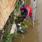 Damkar Kukar Evakuasi Kucing Terjebak di Turap Sungai Mahakam