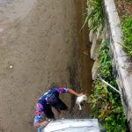 Terjebak di Pinggiran Sungai, Kucing Berhasil Dievakuasi Damkar Kukar