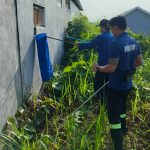 Petugas Damkar Kukar Tangani Laporan Ular di Permukiman Warga