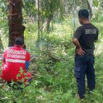 Damkar Muara Jawa Laksanakan Penebangan Pohon yang Mengganggu Pekarangan Warga