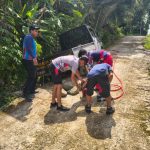 DISDAMKARMATAN KUKAR LAKUKAN PENANGANAN MOBIL KELUAR JALUR DI DESA BUKIT BIRU