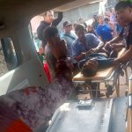 Pria Pingsan di Puncak Pohon Kelapa, Damkar Kukar Lakukan Evakuasi Menegangkan