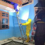 Tim Damkar Muara Badak Berhasil Evakuasi Sarang Tawon di Rumah Warga