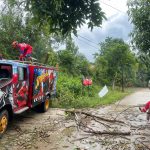 Damkar Kutai Kartanegara Berhasil Tangani Pohon Tumbang di Jalan Loa Ipuh Tenggarong