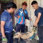 DAMKAR MUARA BADAK BERHASIL EVAKUASI BIAWAK DI RUMAH WARGA