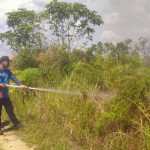 DAMKAR KUKAR TANGANI KEBAKARAN LAHAN DI DESA LIANG, KOTA BANGUN