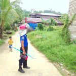 Damkar Sektor Loa Janan Terjang Risiko Evakuasi Kucing di Bangunan Walet yang Lapuk