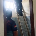 Damkar Samboja Pesisir Amankan Sarang Tawon Madu di Kediaman Lurah Tanjung Harapan