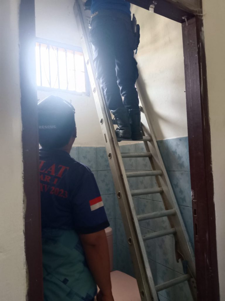 Damkar Samboja Pesisir Amankan Sarang Tawon Madu di Kediaman Lurah Tanjung Harapan