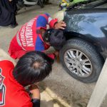 Damkarmatan Kukar Evakuasi Kucing yang Melahirkan di Kap Mobil Warga