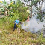Damkarmatan Kukar Sigap Tangani Kebakaran Hutan di Muara Badak