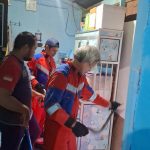 Petugas Damkar Evakuasi Ular Cobra Hitam dari Rumah Warga di Tenggarong