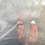 Petugas Tangani Kebakaran Lahan Seluas 15 Hektare di Sangasanga