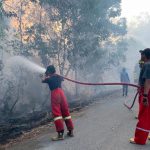 Kebakaran Lahan di Jalan Poros Samarinda-Handil Berhasil Dipadamkan Damkar