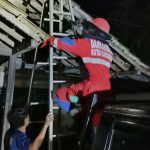 Damkar Tangani Sarang Tawon yang Membahayakan Warga di Tenggarong Seberang