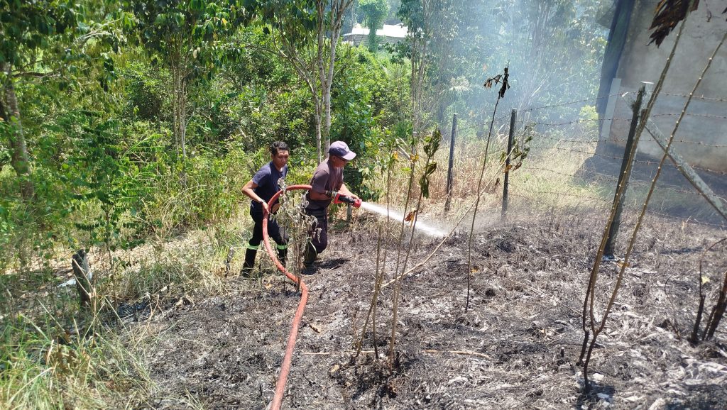 Damkar Tangani Kebakaran Lahan Dekat Sarang Walet di Mangkurawang