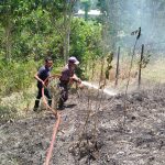 Damkar Tangani Kebakaran Lahan Dekat Sarang Walet di Mangkurawang
