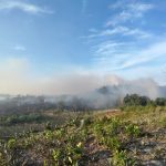Kebakaran Lahan Gambut di Muara Jawa, Petugas Fokus Lindungi Permukiman