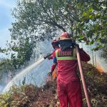 Panas Ekstrem Diduga Picu Kebakaran Lahan di Sangasanga Muara