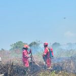 Api Mengarah ke Permukiman, Damkar Tangani Kebakaran Lahan di Sangasanga