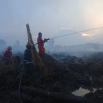 Kebakaran Lahan Dekat Permukiman di Muara Badak, Sekitar 60 Hektare Terdampak