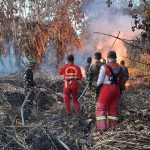 Kebakaran Lahan Gambut Seluas Empat Hektare di Tol Samarinda–Balikpapan Berhasil Dipadamkan