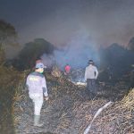 Kebakaran Lahan Gambut 10 Hektare Terjadi di KM 31 Tol Balikpapan–Samarinda