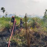 Kebakaran Lahan Dekat Permukiman di Muara Badak, Sekitar 50 Hektare Terdampak