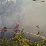 Kebakaran Lahan di Jonggon Jaya, Petugas Damkar dan Redkar Lakukan Penanganan