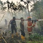 Kebakaran Lahan Dekat Permukiman di Muara Jawa Ulu, Tim Gabungan Lakukan Pemadaman