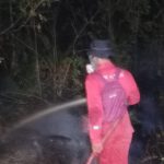 Cuaca Panas Diduga Picu Kebakaran Lahan di Samboja Barat