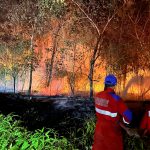 Kebakaran Lahan 10 Hektare di Anggana, Pemadaman Berlangsung hingga Dini Hari