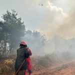 Kebakaran Lahan Lima Hektare Dekat Permukiman di Muara Badak Ditangani Tim Gabungan