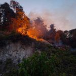 Damkar Tangani Kebakaran Lahan di Purwajaya, Loa Janan