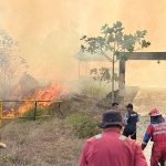 Asap Tebal dan Angin Kencang Warnai Pemadaman Karhutla Empat Hektare di Pendingin