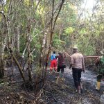 Kebakaran Lahan Satu Hektare di Bluksen, Tabang, Ditangani Petugas Damkar