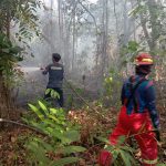 Kebakaran Lahan di Kampung Lama Samboja Berhasil Dipadamkan