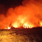 Kebakaran Lahan Delapan Hektare Terjadi di Area PLTG Kukar Muara Badak