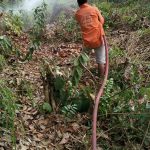 Kebakaran Lahan Dua Hektare di Sumber Sari Loa Kulu Mendekati Permukiman Warga