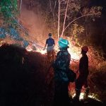 Kebakaran Lahan Dekat Permukiman di Muara Jawa Ilir Ditangani Petugas Damkar