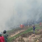 Kebakaran Lahan Puluhan Hektare di Loa Tebu, Petugas Hadapi Banyak Titik Api