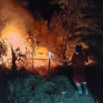 Damkar Tangani Kebakaran Lahan Dekat Permukiman Warga di Muara Badak