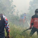 Damkar Padamkan Kebakaran Lahan Gambut Seluas Satu Hektare di Handil Baru