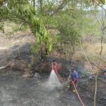 Damkar Tangani Kebakaran Lahan Seluas 300 Meter Persegi di Sanga-Sanga Dalam